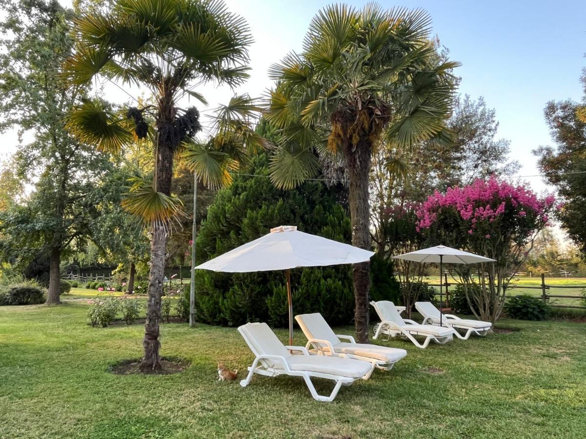 Bed & Breakfast ,Casa De Campo San Esteban,Linares Miraflores Bagian luar foto